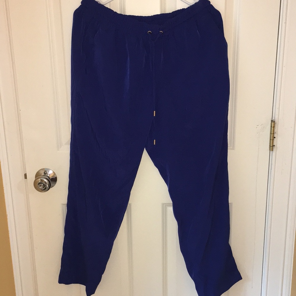 Express Royal Blue Flowy/Loose pant